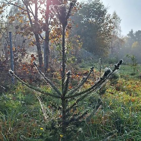 Casa vacanze Kuszewo