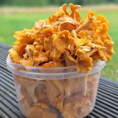 Kuszewo Casa vacanze Czaplinek