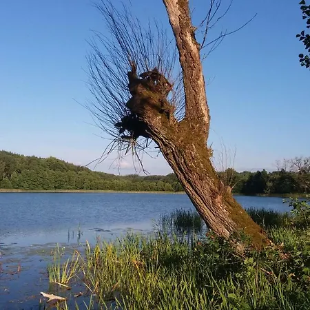 Kuszewo Casa vacanze *