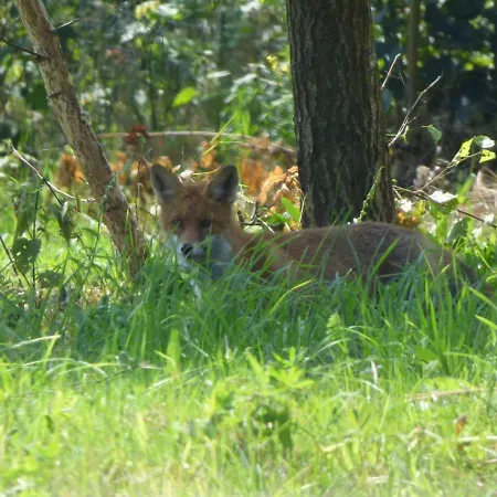 Kuszewo 度假居 恰普利内克