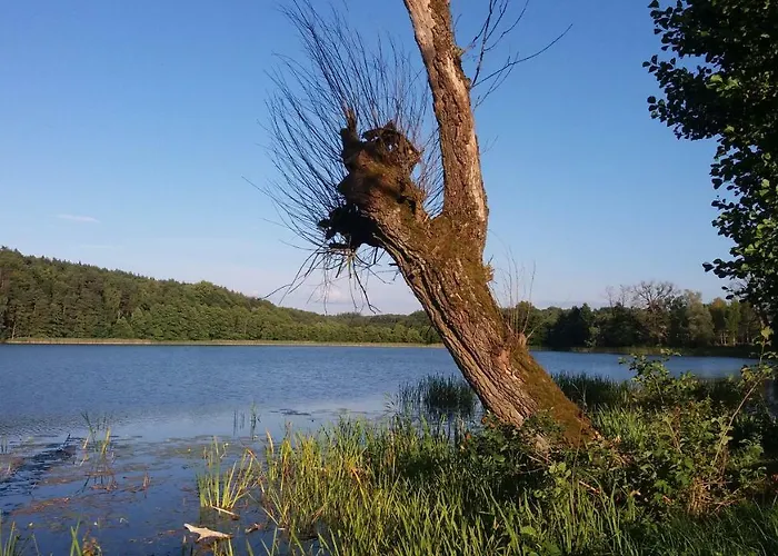 Kuszewo בית נופש *